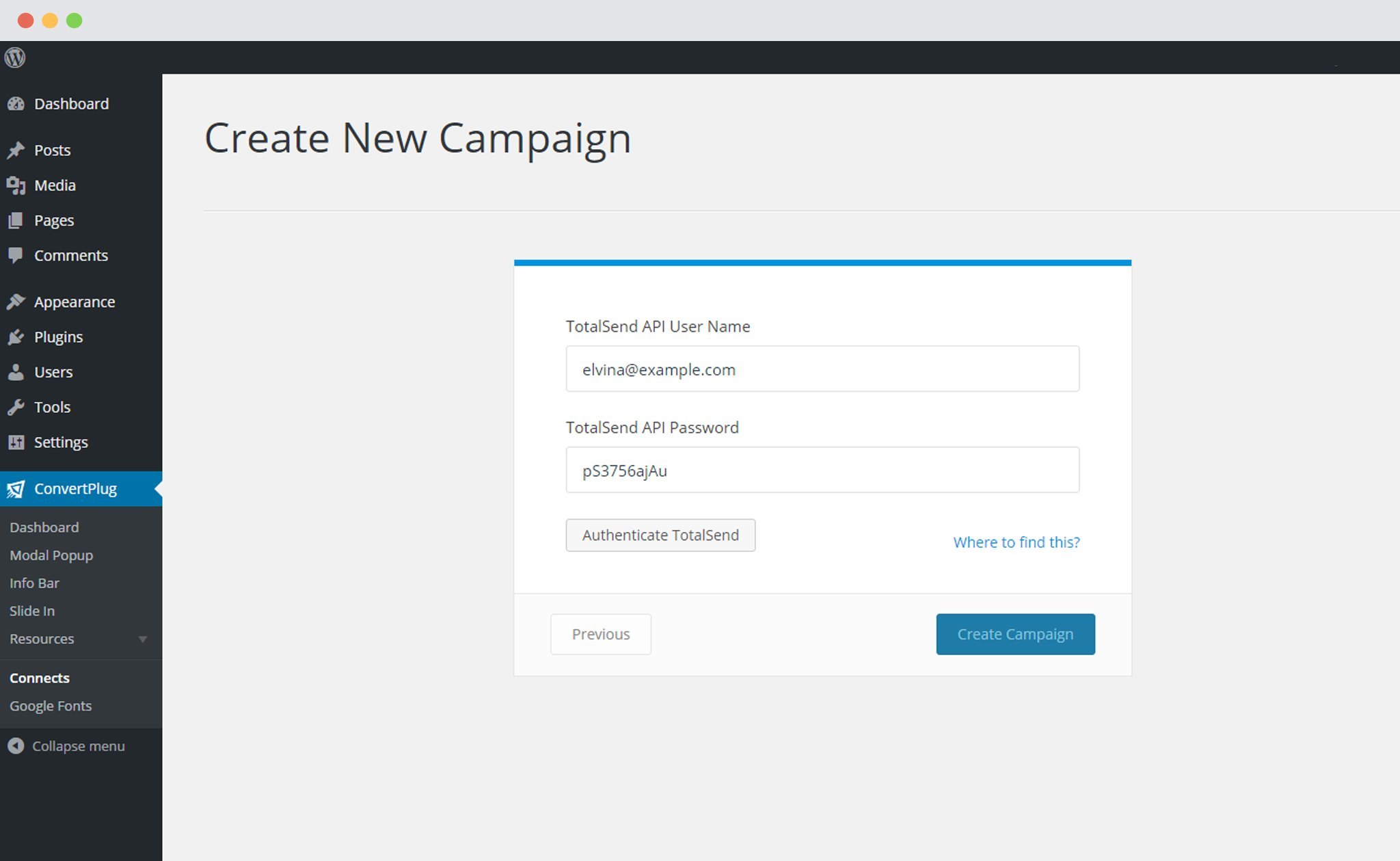 Paste TotalSend API in Connects interface of ConvertPlug