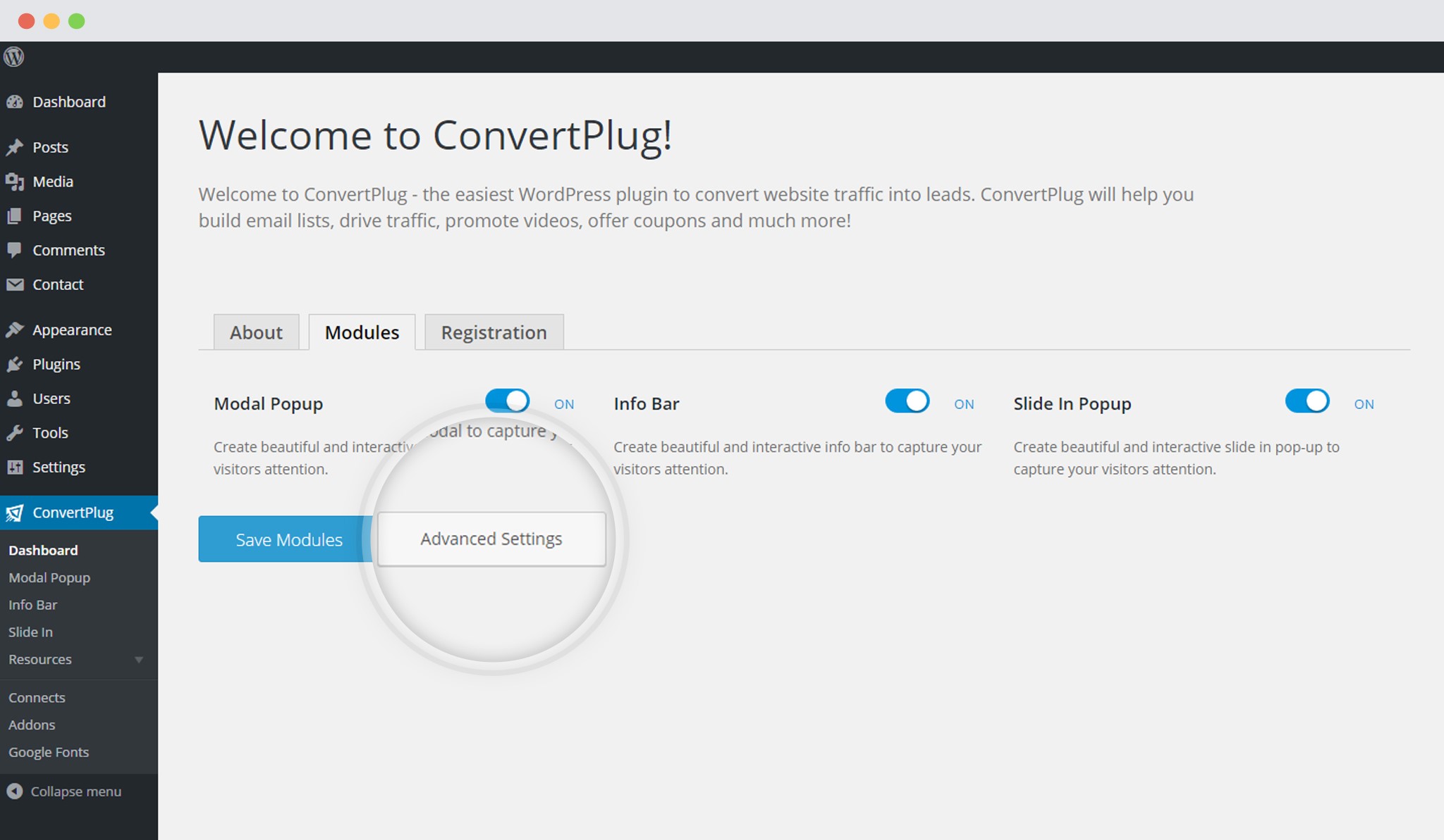 Advanced settings in ConvertPlug