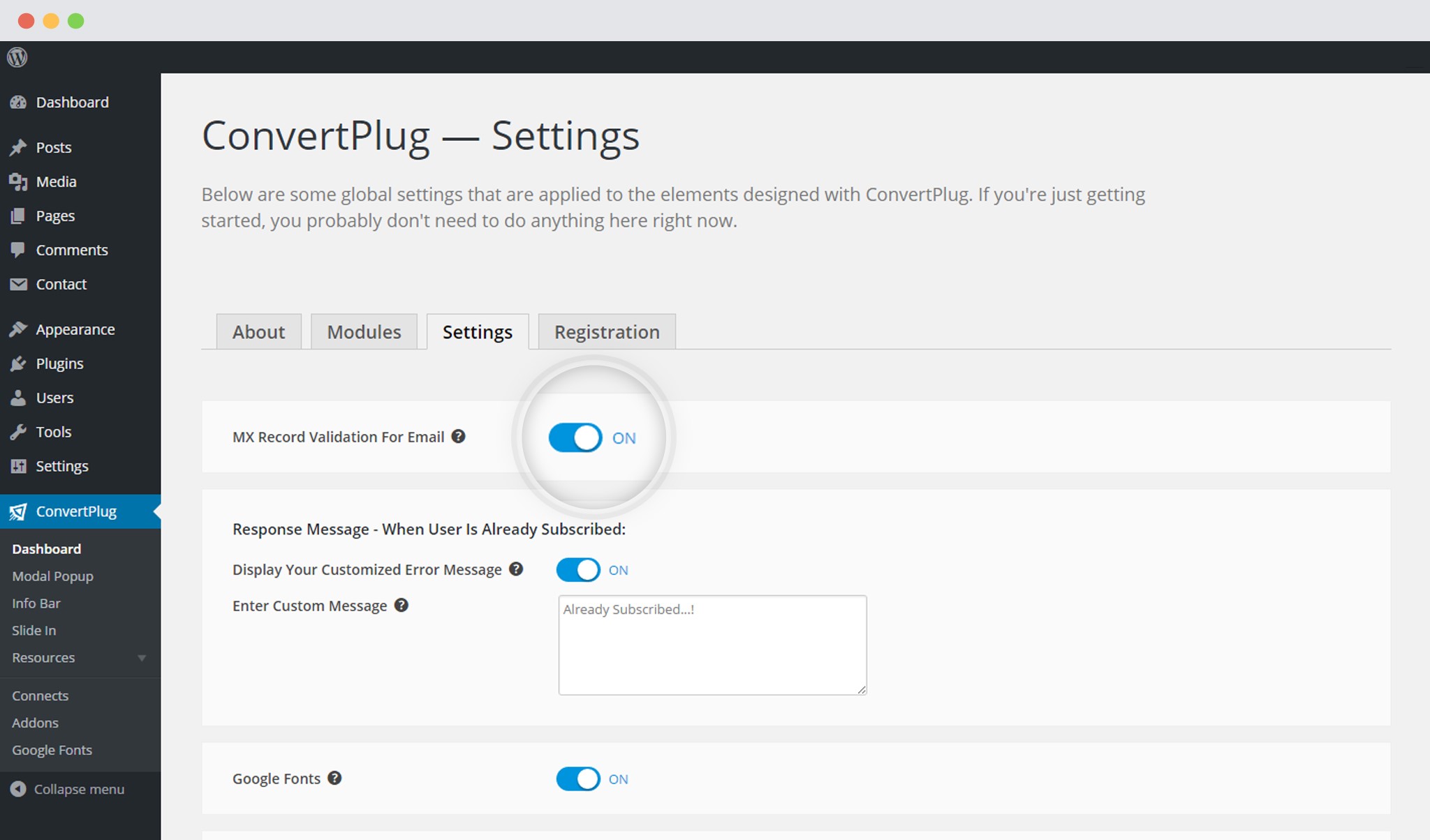 Enable MX Record Validation in ConvertPlug